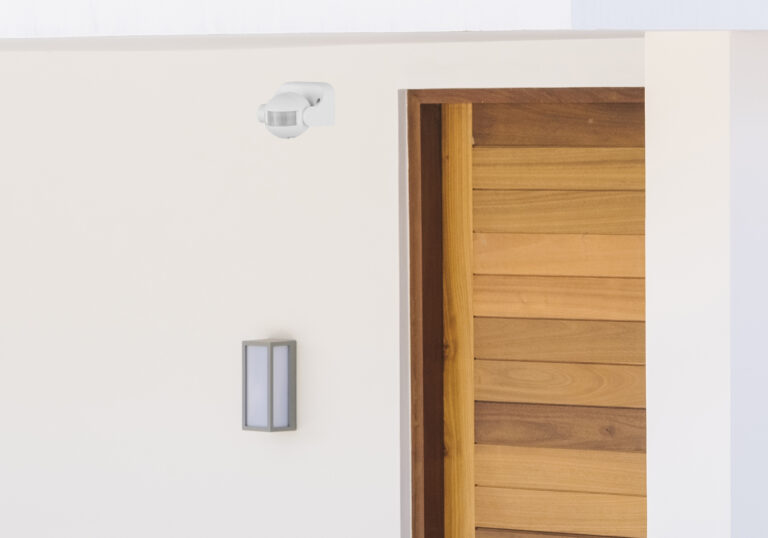 minimal house and wood door